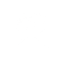Acemail
